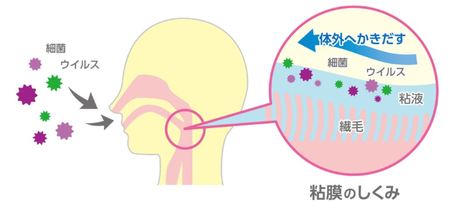 https://www.sankeibiz.jp/business/news/201214/prl2012141011024-n1.htm